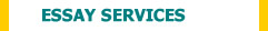 ESSAY SERVICES